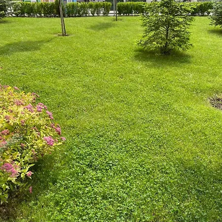 Mladost 2 - Free Parking 아파트 *